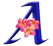 Large Blue 'A' with lei around center